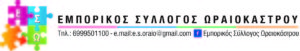Logo ΕΣΩ